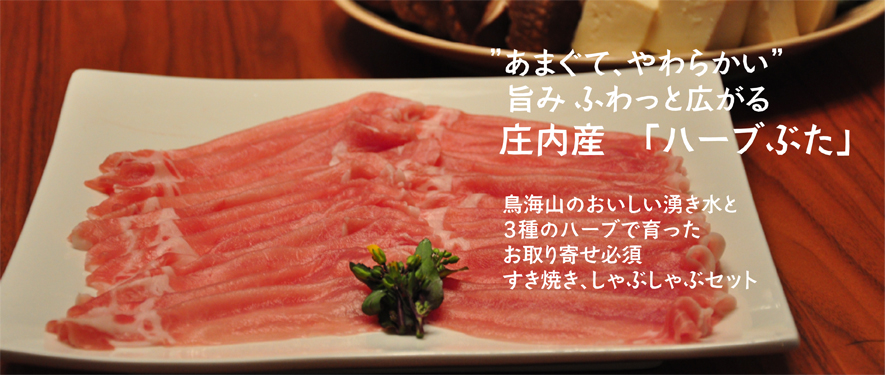 �����Ƥ�������֤���֥��åȡ�