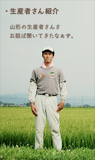 �����Ԥ���Ҳ�